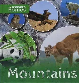Mountains, Hardback/John Wood