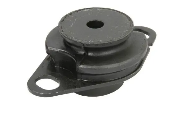 Mounting, transfer case