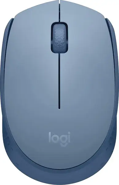 Mouse Wireless Logitech M171, USB, 1000 DPI (Albastru)