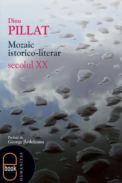 Mozaic istorico-literar. Secolul XX (epub)