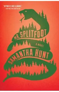 Mr. Splitfoot - Samantha Hunt