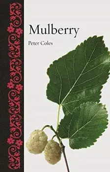 Mulberry, Hardback/Peter Coles