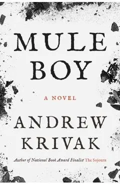 Mule Boy - Andrew Krivak
