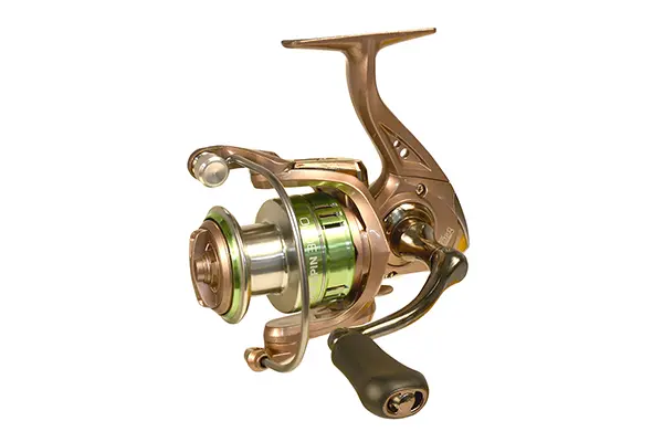MULINETA WIZARD ZANDER SPIN 5+1CS