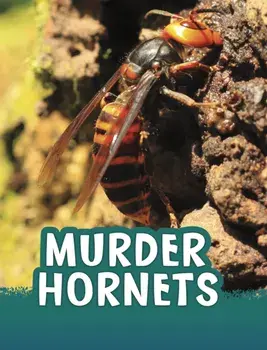 Murder Hornets, Paperback/Jaclyn Jaycox
