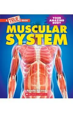 Muscular System (a True Book: Your Amazing Body) - Natasha Vizcarra