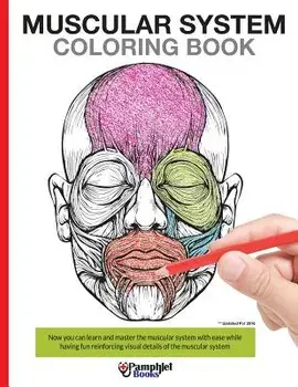 Muscular System Coloring Book: Now You Can Learn and Master the Muscular System with Ease While Having Fun, Paperback/Pamphlet Books