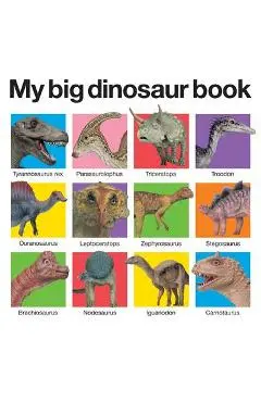 My Big Dinosaur Book - Roger Priddy