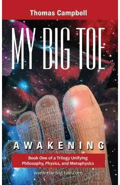 My Big TOE - Awakening H: Book 1 of a Trilogy Unifying Philosophy, Physics, and Metaphysics - Thomas Campbell