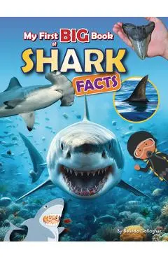 My First Big Book of Shark Facts - Belinda Gallagher