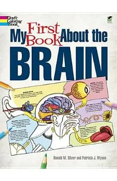 My First Book about the Brain - Patricia J. Wynne