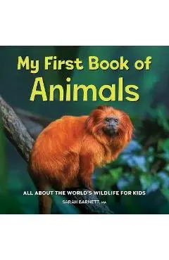 My First Book of Animals: All about the World's Wildlife for Kids - Sarah Barnett