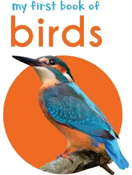 My First Book of Birds. First Board Book, Hardback/***