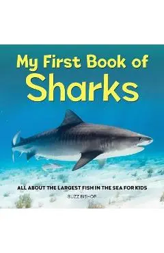 My First Book of Sharks: All about the Largest Fish in the Sea for Kids - Buzz Bishop