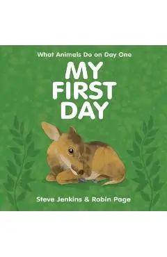My First Day - Steve Jenkins