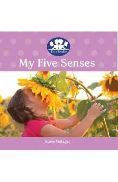 My Five Senses - Steve Metzger