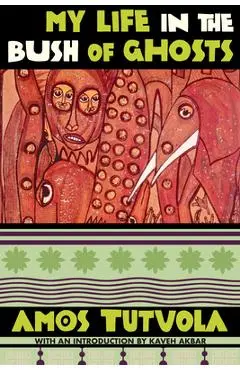 My Life in the Bush of Ghosts - Amos Tutuola