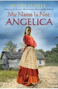 My Name Is Not Angelica - Scott O'dell
