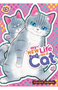 My New Life as a Cat Vol. 13 - Konomi Wagata