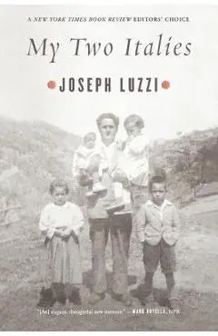 My Two Italies: A Personal and Cultural History - Joseph Luzzi