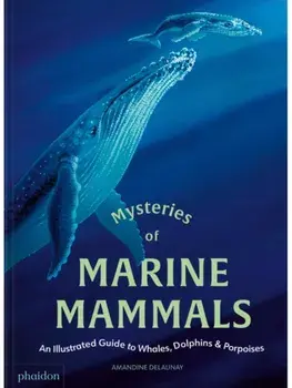 Mysteries of Marine Mammals. An Illustrated Guide to Whales, Dolphins, and Porpoises, Hardback/Amandine Delaunay