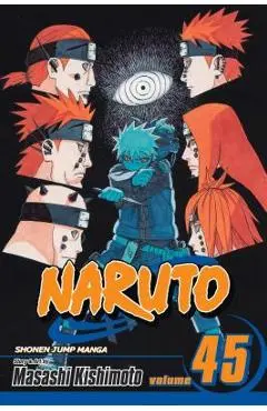Naruto, Vol. 45 - Masashi Kishimoto