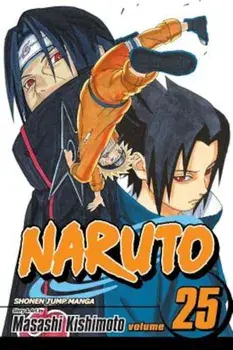 Naruto, Volume 25, Paperback/Masashi Kishimoto