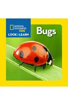 National Geographic Kids Look and Learn: Bugs - National Kids