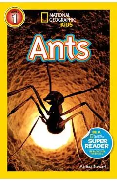 National Geographic Readers: Ants - Melissa Stewart