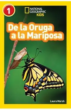 National Geographic Readers: de la Oruga a la Mariposa (Caterpillar to Butterfly) - Laura Marsh