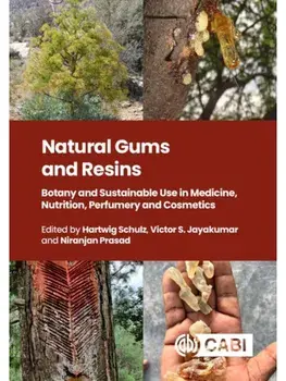 Natural Gums and Resins. Botany and Sustainable Uses in Medicine, Nutrition, Perfumery and Cosmetics, Hardback/***