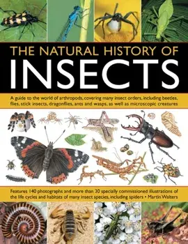 Natural History of Insects, Paperback/Martin Walters