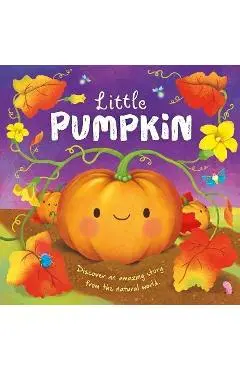 Nature Stories: Little Pumpkin: Padded Board Book - Igloobooks