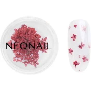 NEONAIL Dried Flowers flori uscate pentru unghii