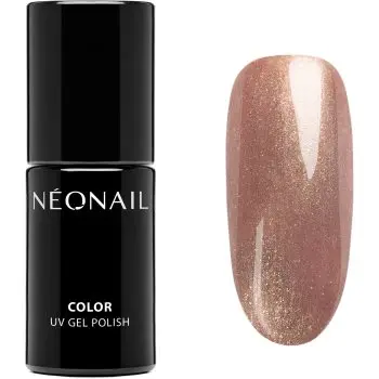 NEONAIL Winter Symphony unghii cu gel folosind UV / lampă cu LED
