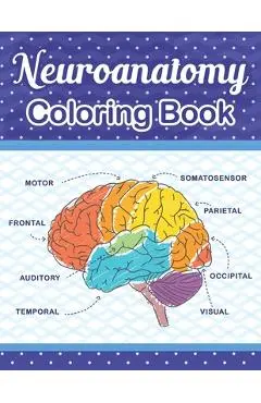 Neuroanatomy Coloring Book: The Ultimate Human Brain student's self-test Coloring book for Neuroscience. The Human Brain Anatomy Coloring Book for - Cambaumniel Publication