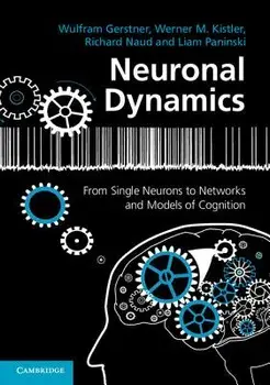 Neuronal Dynamics, Paperback/Wulfram Gerstner