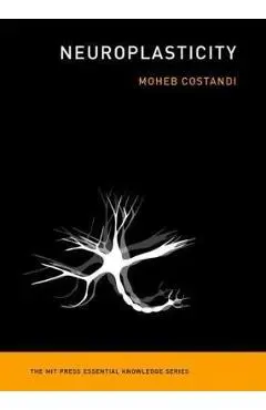 Neuroplasticity