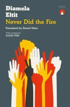 Never Did the Fire, Paperback/Diamela Eltit