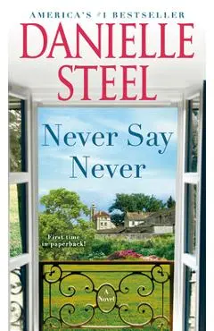 Never Say Never - Danielle Steel