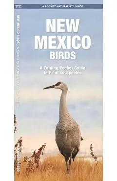 New Mexico Birds: A Folding Pocket Guide to Familiar Species - James Kavanagh