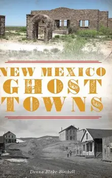 New Mexico Ghost Towns, Hardcover/Donna Blake Birchell