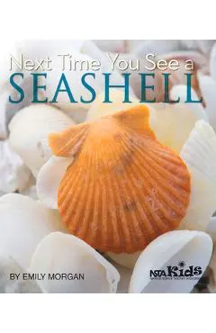 Next Time You See a Seashell - Emily Morgan