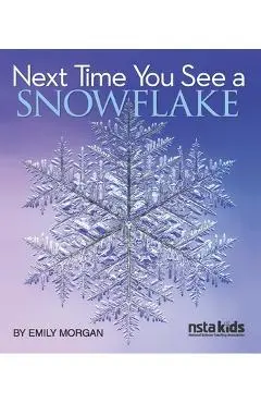Next Time You See a Snowflake - Emily Morgan