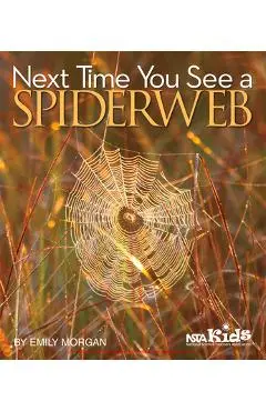 Next Time You See a Spiderweb - Emily Morgan