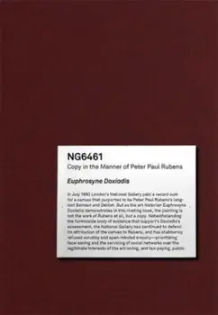 NG6461. The Fake Rubens, Paperback/Euphrosyne Doxiadis