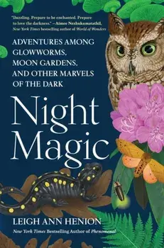 Night Magic, Hardback/Leigh Ann Henion