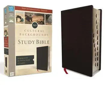 NIV, Cultural Backgrounds Study Bible, Indexed, Bonded Leather: Bringing to Life the Ancient World of Scripture/Craig S. Keener