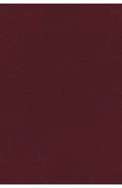 Niv, Kjv, Nasb, Amplified, Parallel Bible, Bonded Leather, Burgundy: Four Bible Versions Together for Study and Comparison - Zondervan