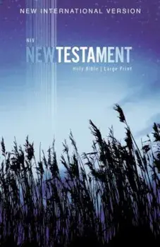 NIV, Outreach New Testament, Large Print, Paperback, Paperback/Zondervan